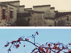 -塔川景区