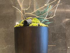 -温州龙湾国际机场温德姆酒店