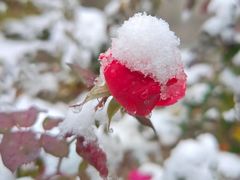 -世界之窗阿尔卑斯冰雪世界