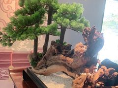 -顺峰(农展馆店)