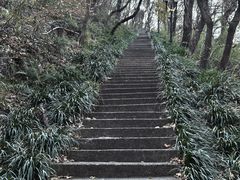 -句容茅山景区