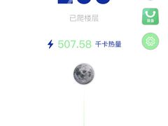 -KingBull私教健身&格斗订制(龙井商业中心店)
