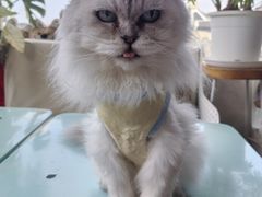 -小时光咖啡馆(北锣鼓巷店)