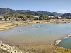 -四明湖