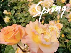 -人民公园(罗湖区)