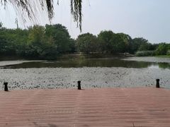 -梁鸿国家湿地公园