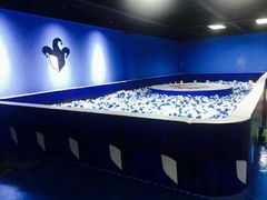 -大猫儿轰趴·团建·年会聚会(朝外店)
