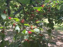 -良子健身(金融街店)