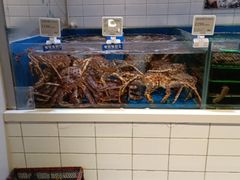-T11生鲜超市(朝阳公园店)
