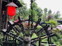 -青城甲(青城山店)