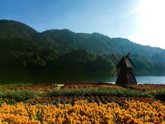 -广州市石门国家森林公园