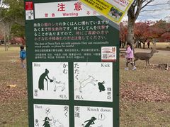 -奈良公园