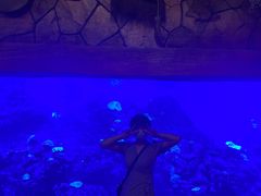 -华夏文旅西安度假区