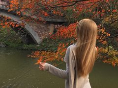 -田野绿世界