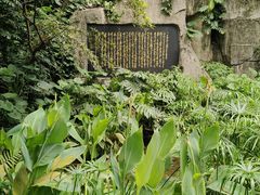 -广州兰圃