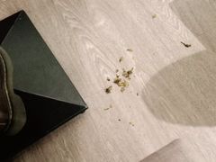 -仙踪林(惠润广场店)