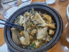 -正宗高流河饭店原创风姜鸡