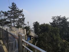 -大金鹰园