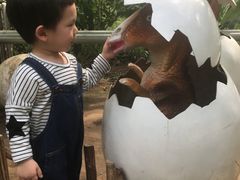 -呀路古热带植物园-恐龙馆