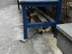 android_upload_pic-乐屿乐趣