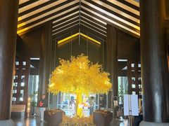 -时光吧·大堂吧·丽江和府洲际度假酒店