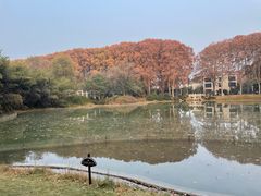 -河南省黄河迎宾馆