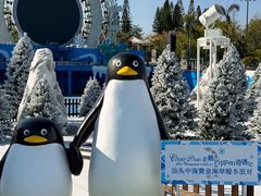 -汕头中海黄金海岸水上乐园