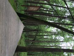 同里国家湿地公园-同里国家湿地公园