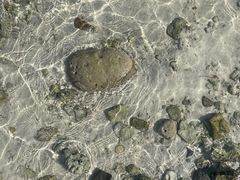 -三亚西岛海洋文化旅游区