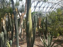 -北京植物园-展览温室