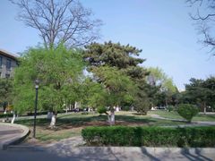 android_upload_pic-辽宁大学(崇山校区)