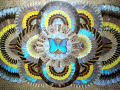 -上海昆虫博物馆