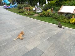 -厦门园林博览苑