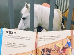 -骑乐马术(广州奥体优托邦中心)