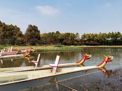 -上海海湾国家森林公园
