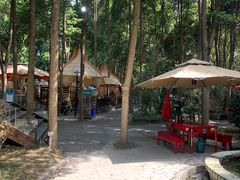 -二荆条·蜀鲜汇城市森林火锅