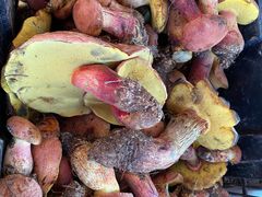 -双喜农庄·菌香园(安居家园店)