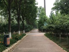 -大兴滨河森林公园