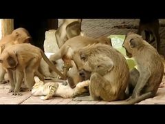 -昆明动物园