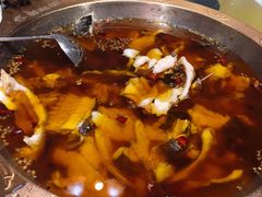 蜀龙阁水煮鱼-雲蜀龙阁·金牌水煮鱼(方庄店)