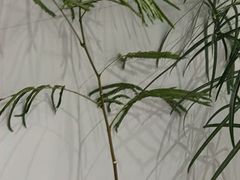 -新奥购物中心