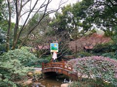 -中国茶叶博物馆(双峰馆区)