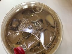 -桂桂茶(金谊广场店)