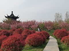 -云幽谷旅游区