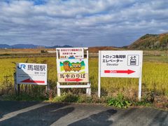 -岚山嵯峨野观光小火车