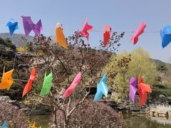 -北京西山国家森林公园