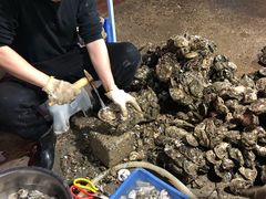 -花苑美食横琴生蚝火锅(拱北粤华路店)