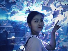 -成都浩海立方海洋公园