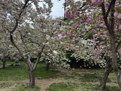 -莲花池公园