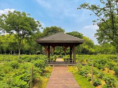 -合肥三国新城遗址公园